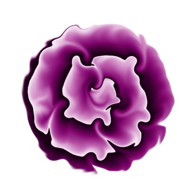 blume_forum.png