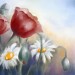Mohn