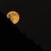 2015-07-01_21-24-55