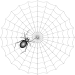 Spinnennetz