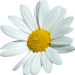 Aufgabe 3.05 Margarete 1