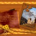 PfotenNews_Indian-Summer