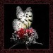 Schmetterling 1