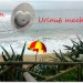 Urlaubsfoto