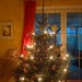 Weihnachtsbaum 2014