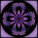Purple150