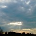PICT0262