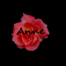 Anne rose