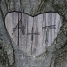 AundT Baum