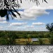 landschaft