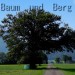 Baum und Berg1