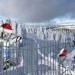 baer-im-harz-3