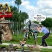 sarasota-3