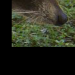 was-ist-das-2