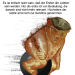 wo-6