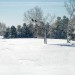 winter2