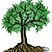 Baum