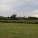 Landschaft 5