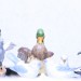 Neue Highkeys_2_Voegel3_ISO800
