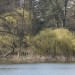 Waldsee Sigma 01