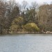 Waldsee Sigma 04