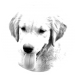 Hundeaufkleber