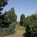 Heide 4