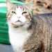 Jans auffordernder Blick