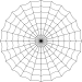 Spinnenetz schwarz