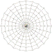 Spinnennetz 3D Mutter der Perlen