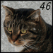 Countdown 46_1