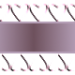 Ribbon9_Carola