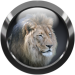 Button31_Carola