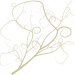 Zweig7_Carola