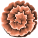 Blume10_Carola