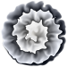 Blume11_Carola