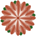 Blume1_Carola