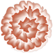 Blume4_Carola