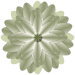 Blume5_Carola