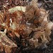 Holzstrukuren Wettbewerb