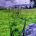 Kunstbild Kunstlicht Glas mit Irlandbild
