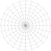 Spinnennetz duenne Membrane