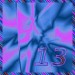 Flicken_13
