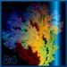 Flicken_24