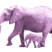 Elefanten