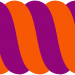 Kordelabschnitt