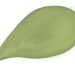 Blatt-02