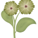 Blume_mit_Stengel_03-b