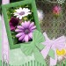 Fruehlingserwachen
