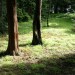 Holzstruktur-02